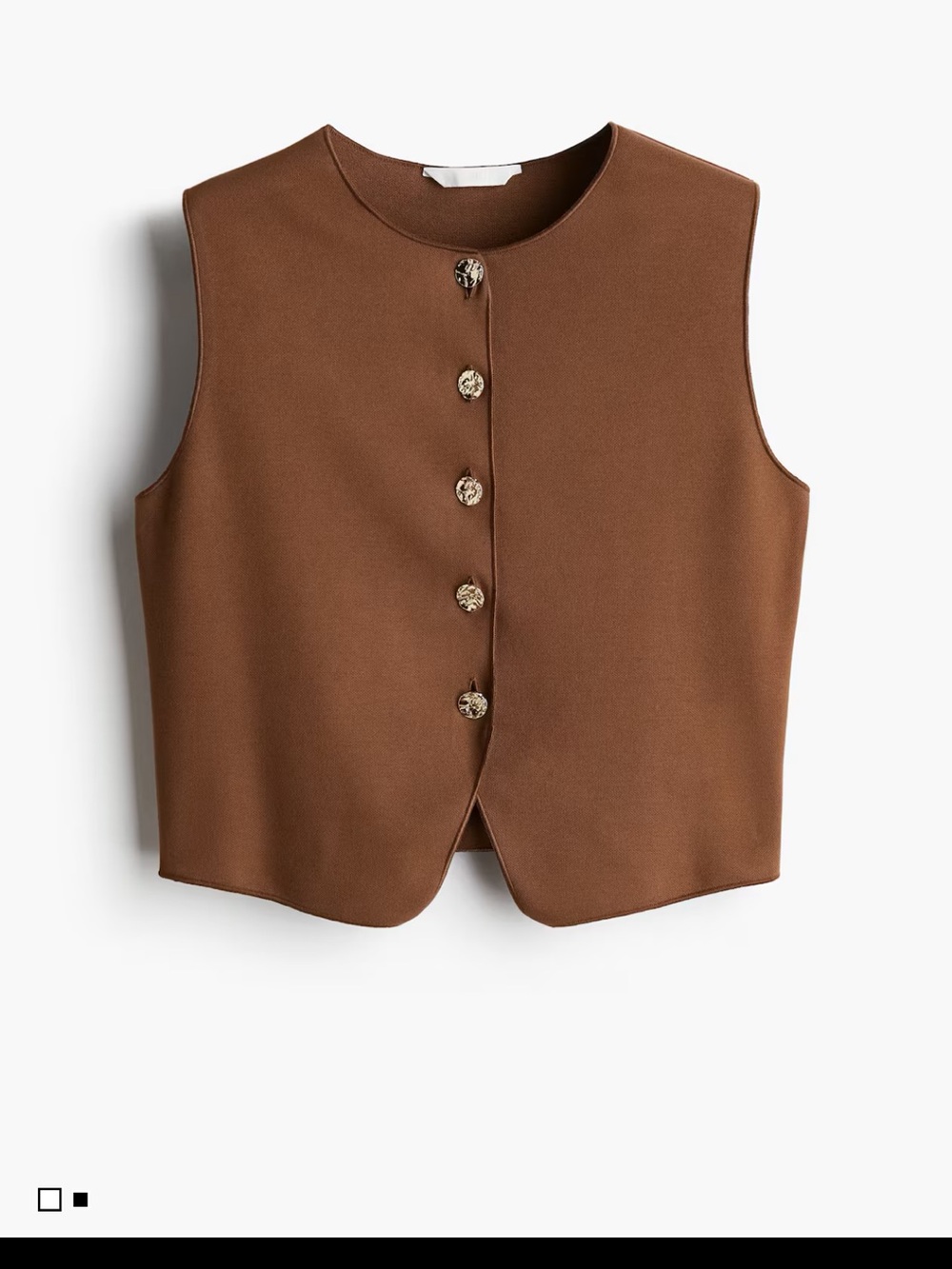H&M Sleeveless Button-Front Knit Vest in Brown